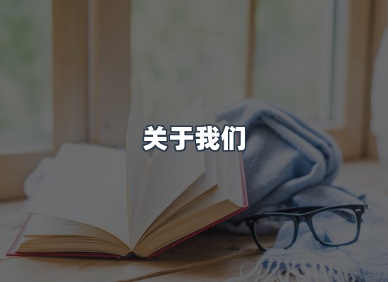 专业团队